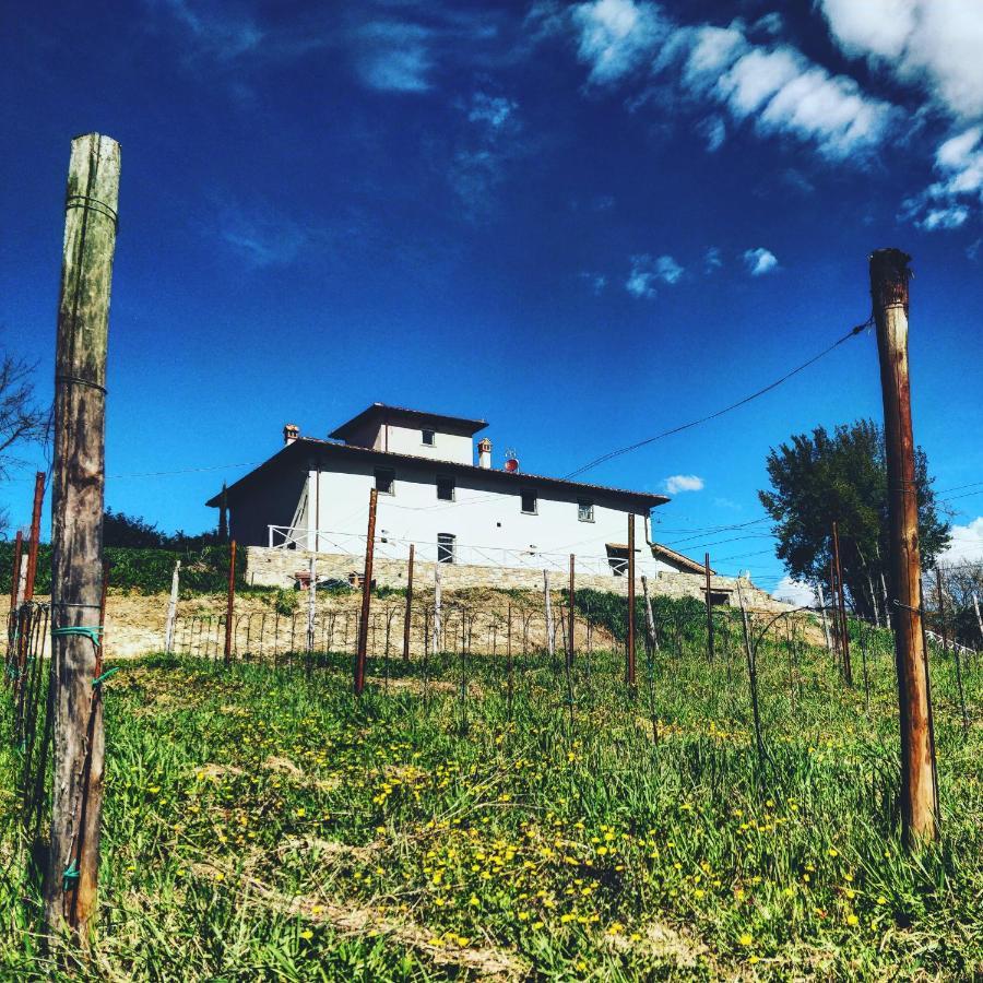 La Valle B&B Cavriglia Luaran gambar