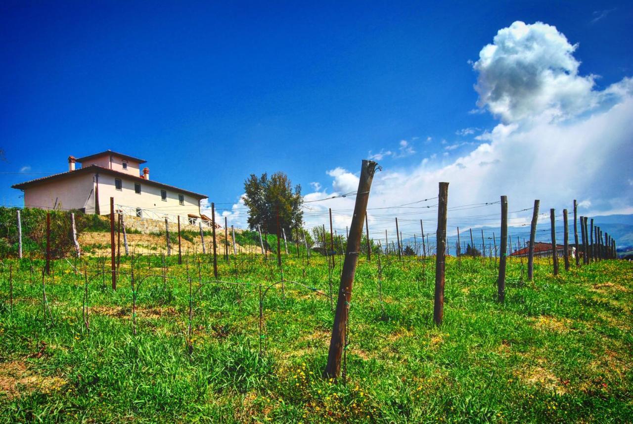 La Valle B&B Cavriglia Luaran gambar