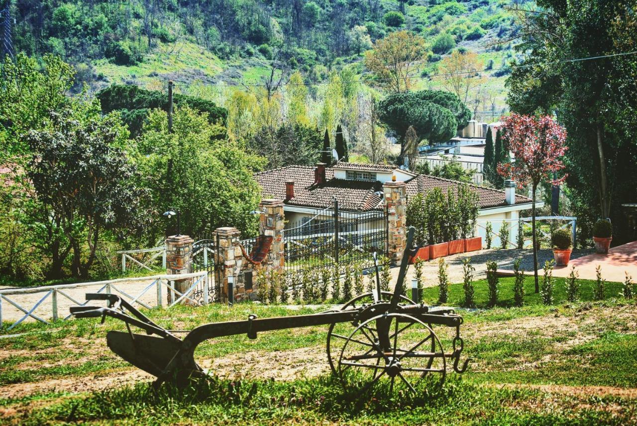 La Valle B&B Cavriglia Luaran gambar